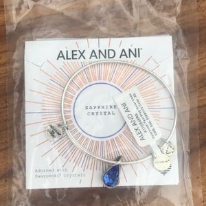 Alex and Ani Bracelet!